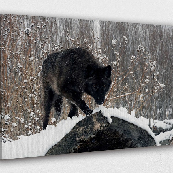 Winter black Wolf in forest snow Canvas Wall Art Design | Poster Print Decor for Home & Office Decoration I POSTER or CANVAS READY to Hang