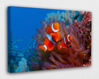 Clown Fish Art Etsy