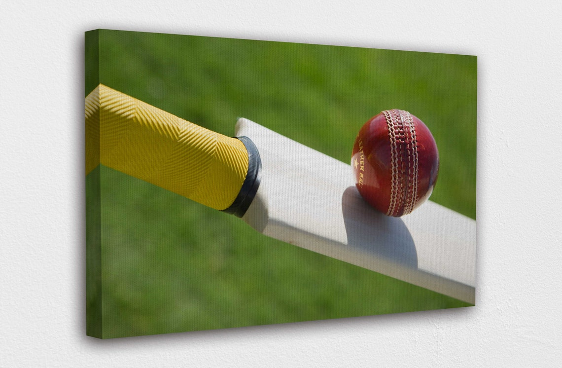 Best Cricket Ball Canvas Wall Art Design Poster Print Décor Etsy