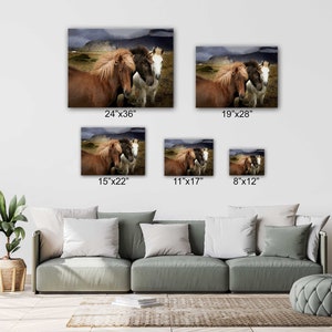 Lovely Horse Canvas Wall Art Design Poster Print Decor for - Etsy