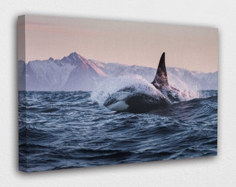 Killer Whale Art | Etsy