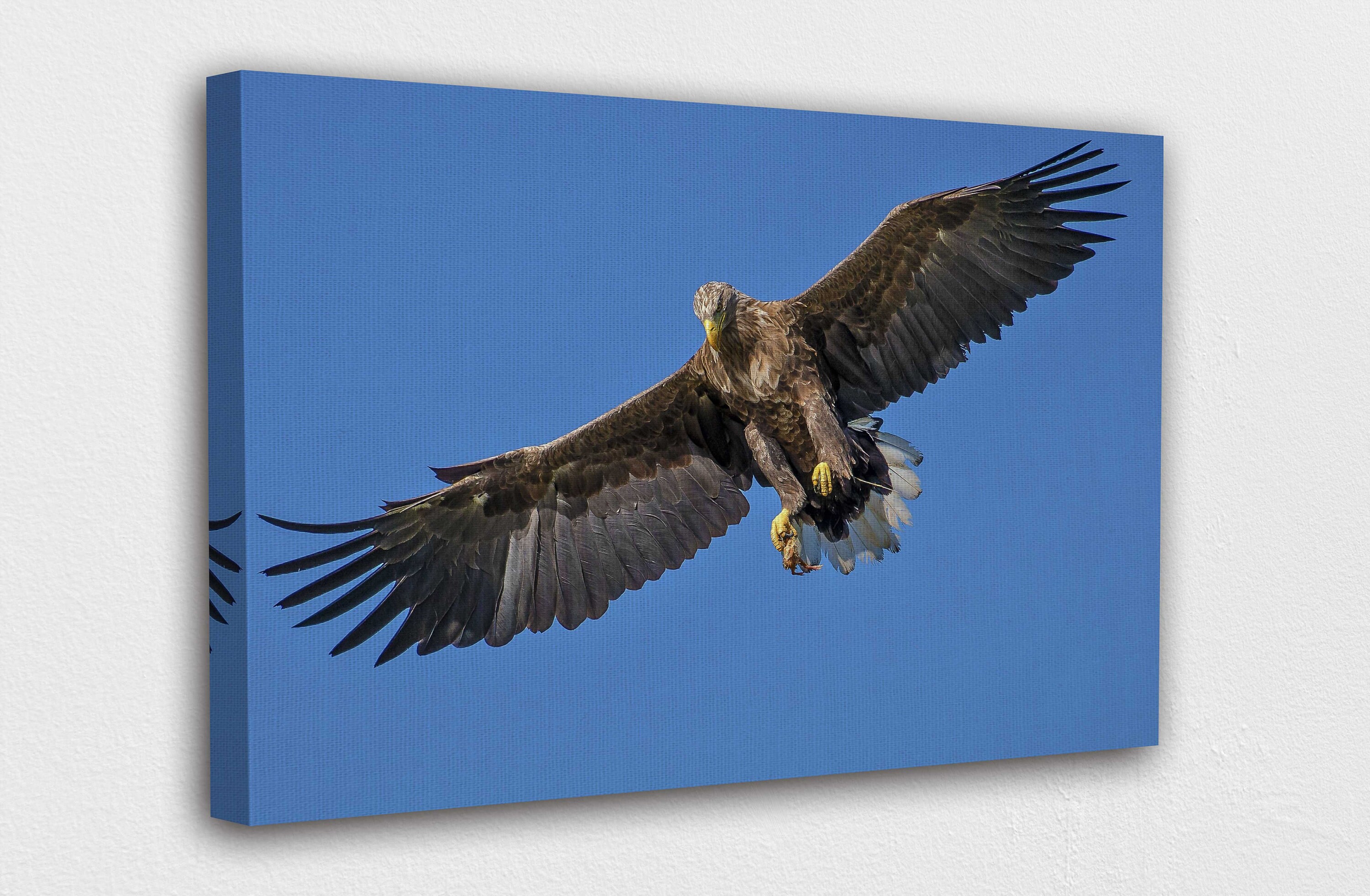 Golden Eagle Canvas Wall Art Design Poster Print Decor for Etsy