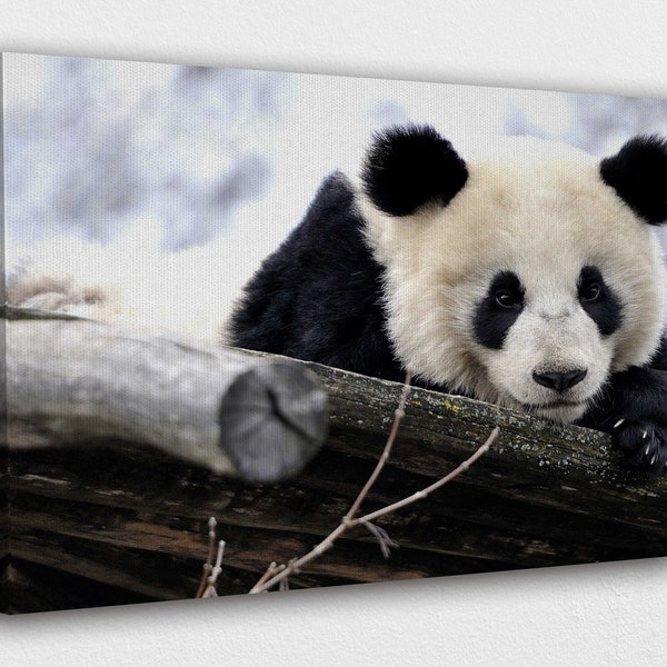 Panda Wall Art - Etsy