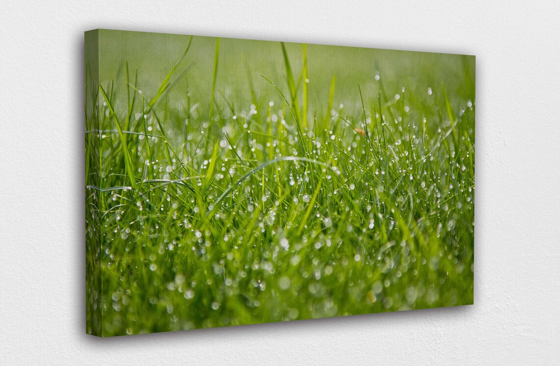 Green Grass Canvas Wall Art Design Poster Print Decor for Etsy Singapore