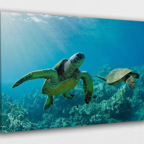 Turtle Family Wall Decor Hawaiian Sea Turtle Wall Art Honu Etsy