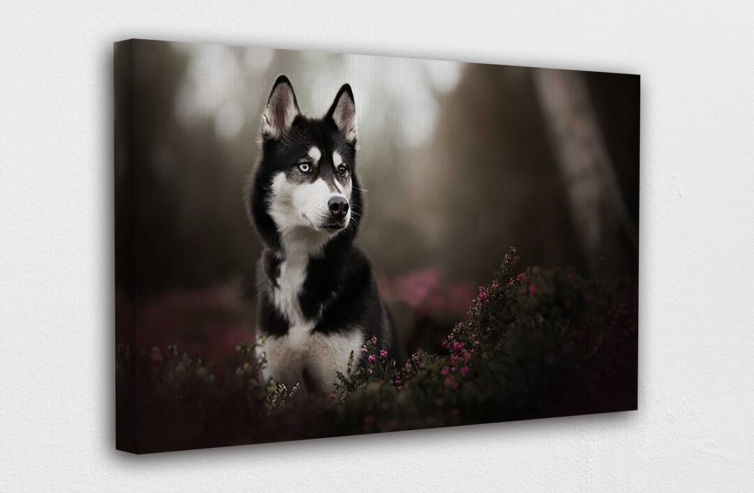 Husky Dog Canvas Wall Art Design Poster Print Decor for Home & Office