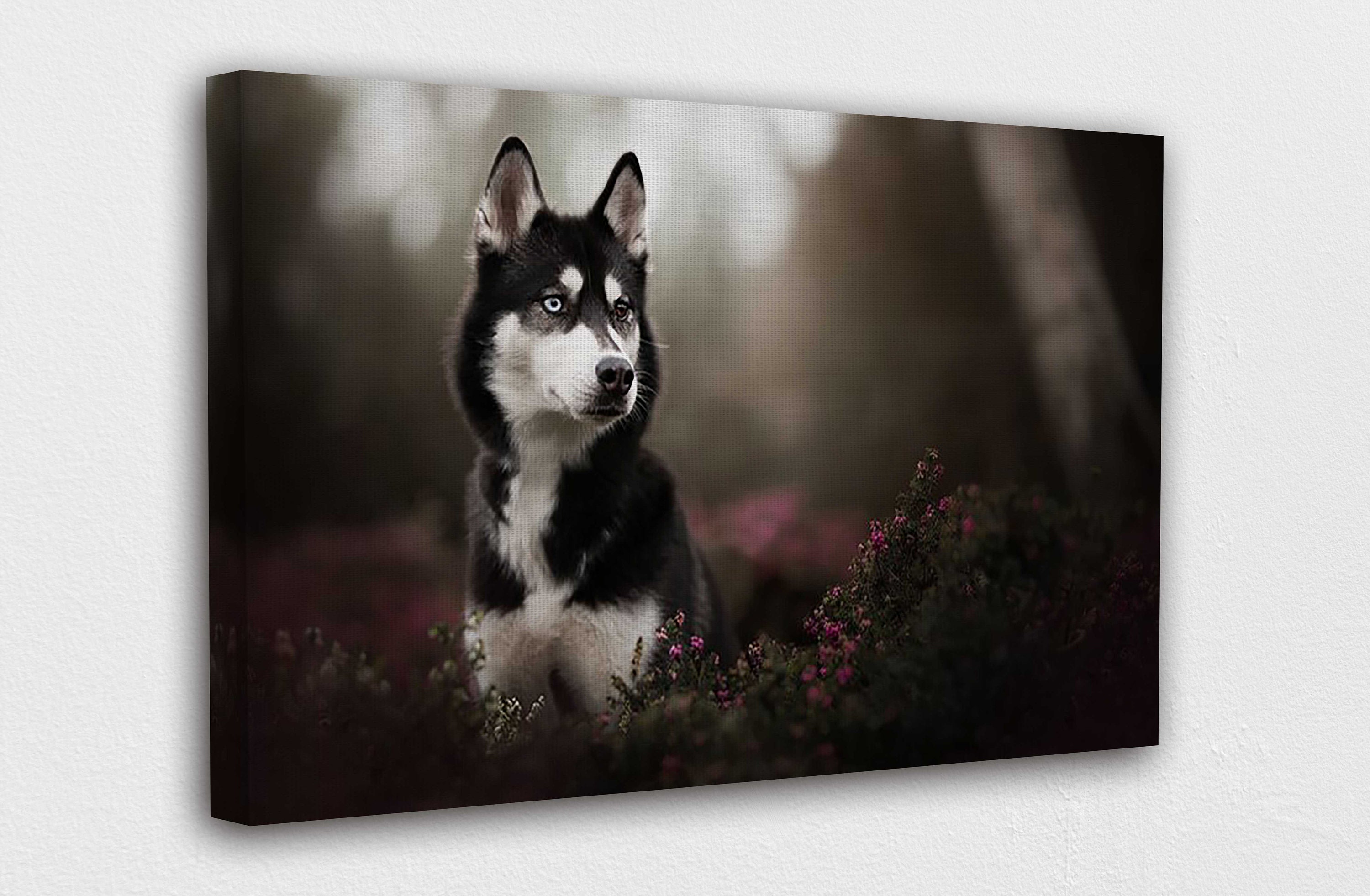 Husky Dog Canvas Wall Art Design Poster Print Decor for Home Etsy