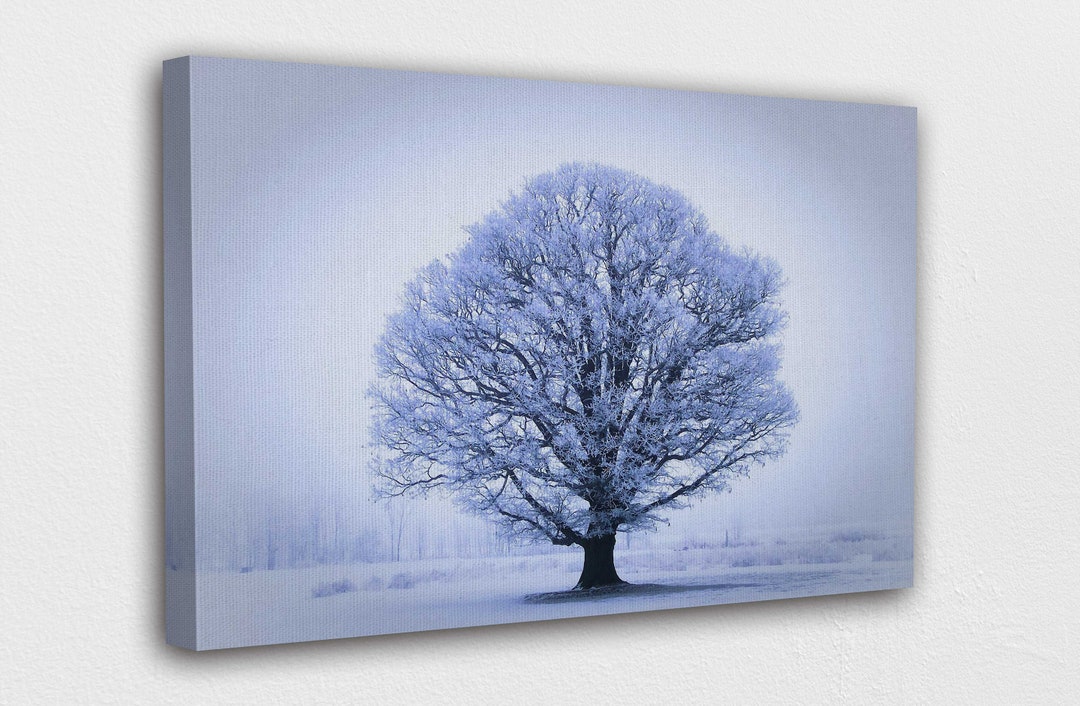 A Huge White Winter Tree Canvas Wall Art Design Poster Print Etsy