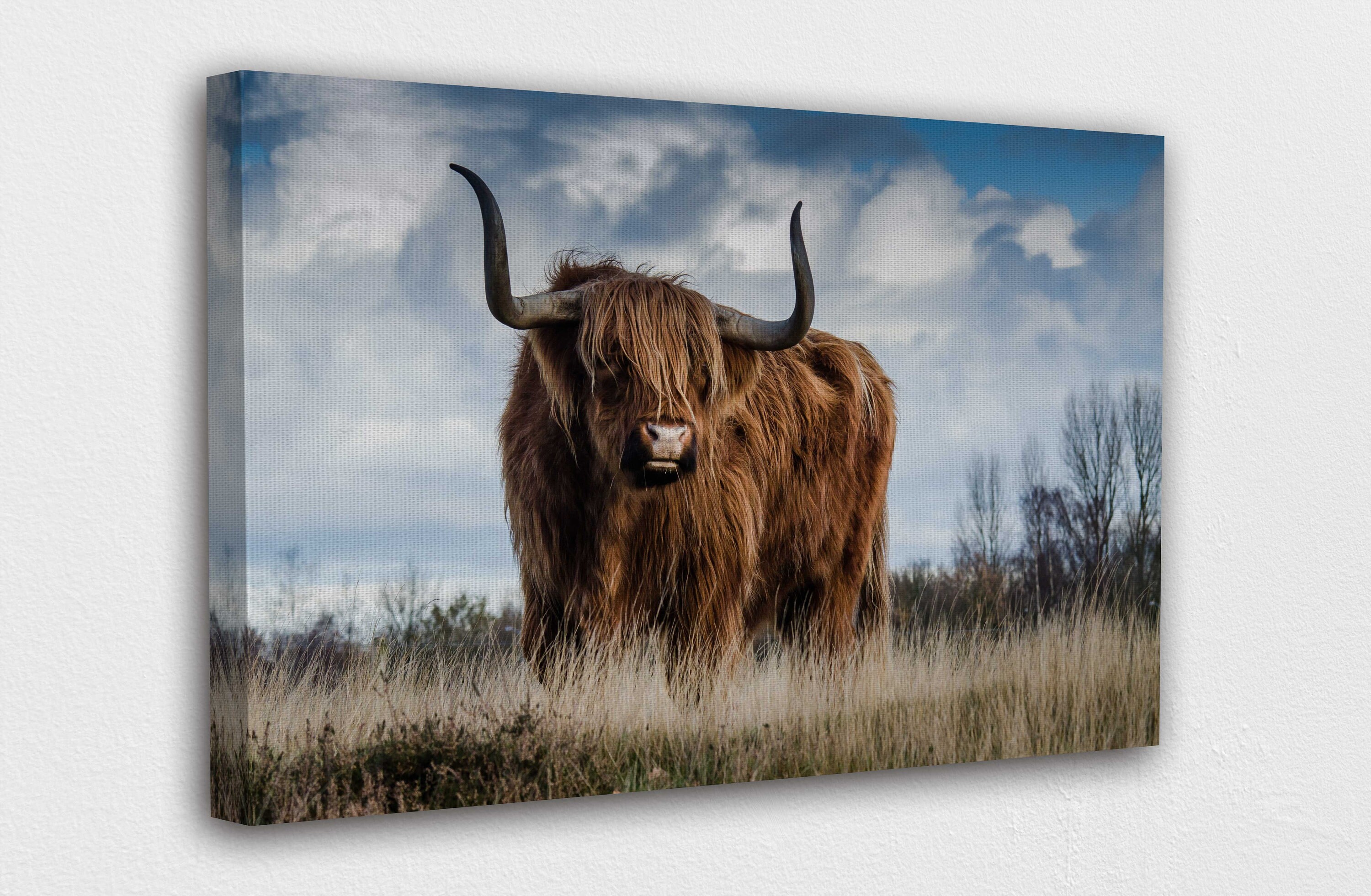 Bulls of Bashan Canvas Wall Art Design Poster Print Decor Etsy