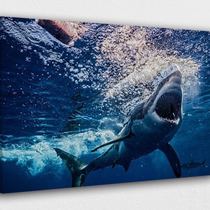 Underwater white sharks Canvas Wall Art Design | Poster Print Decor for Home & Office Decoration I POSTER or CANVAS READY to Hang