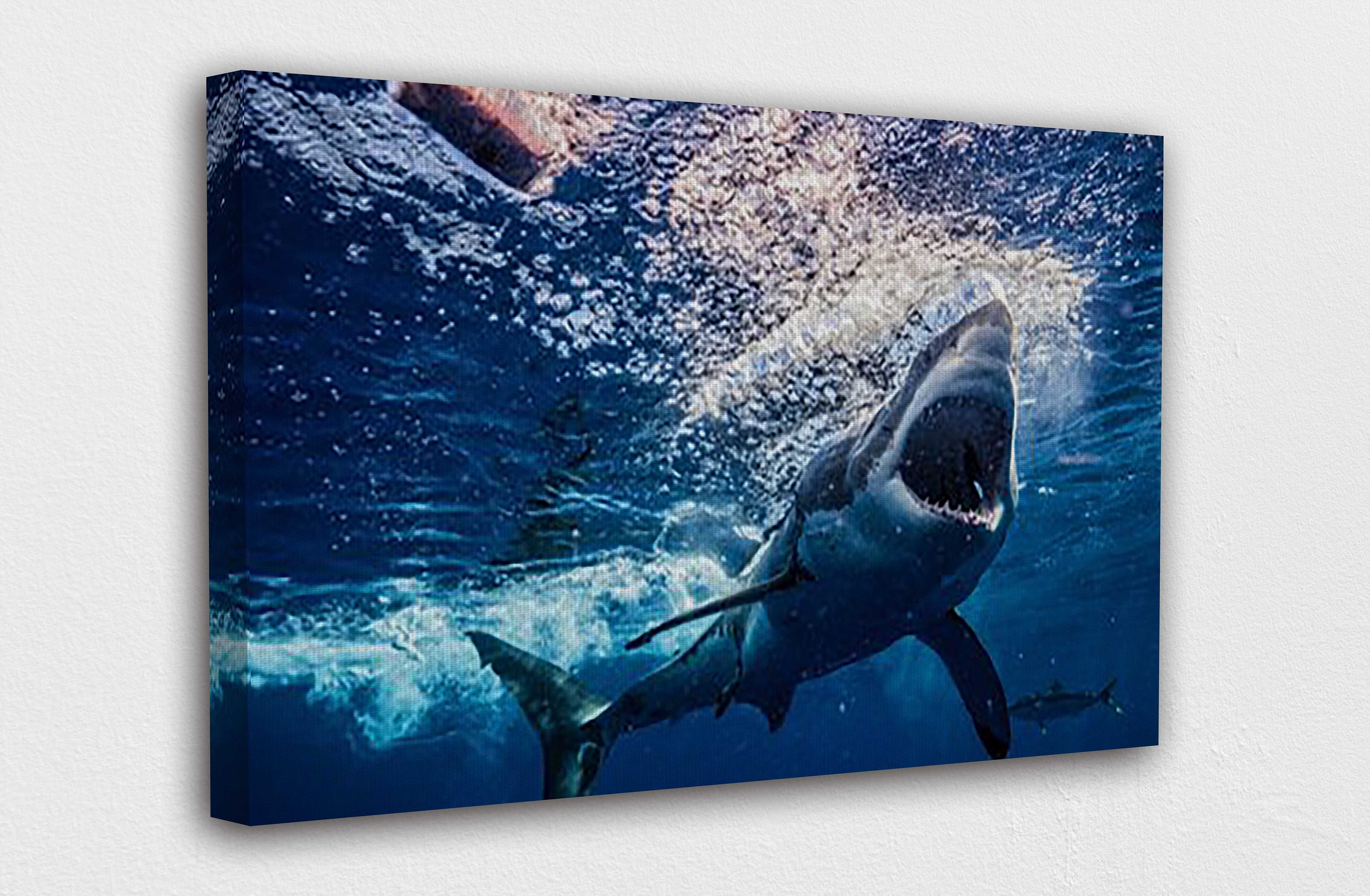 Underwater White Sharks Canvas Wall Art Design Poster Print Etsy