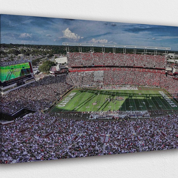 Williams Brice Stadium Wall Art Etsy