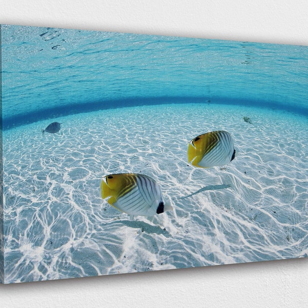 Fish swimming underwater Canvas Wall Art Design | Poster Print Decor for Home & Office Decoration I POSTER or CANVAS READY to Hang