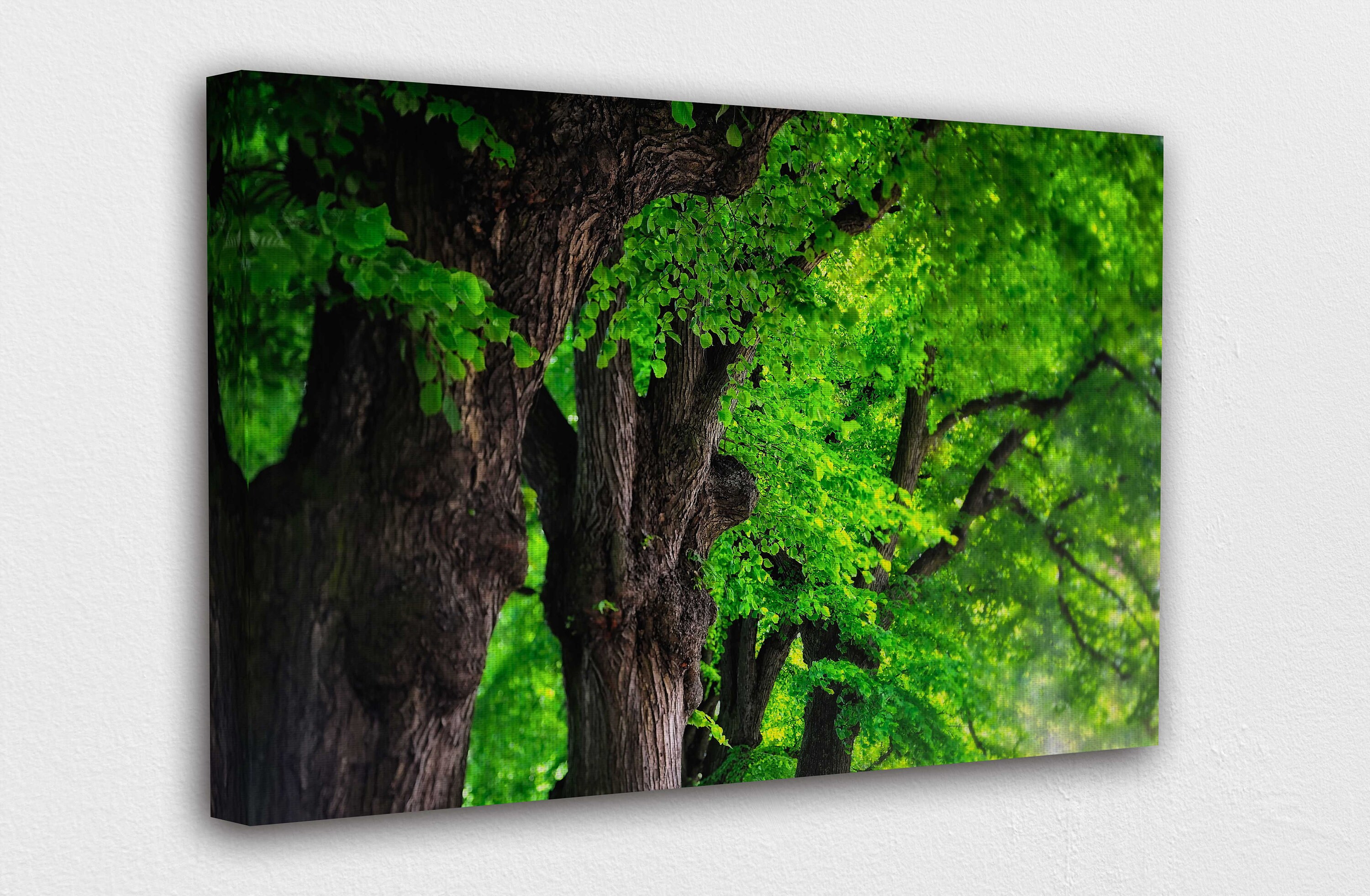 Natural Green Tree Canvas Wall Art Design Poster Print Decor Etsy