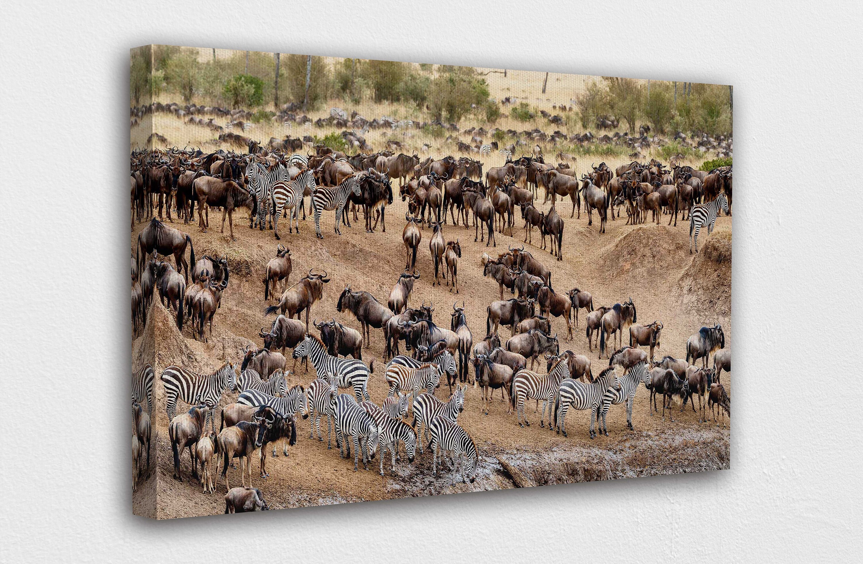 Animals African Safari Canvas Wall Art Design Poster Print Etsy