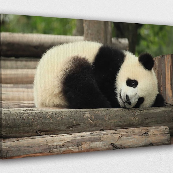 Panda Decor - Etsy