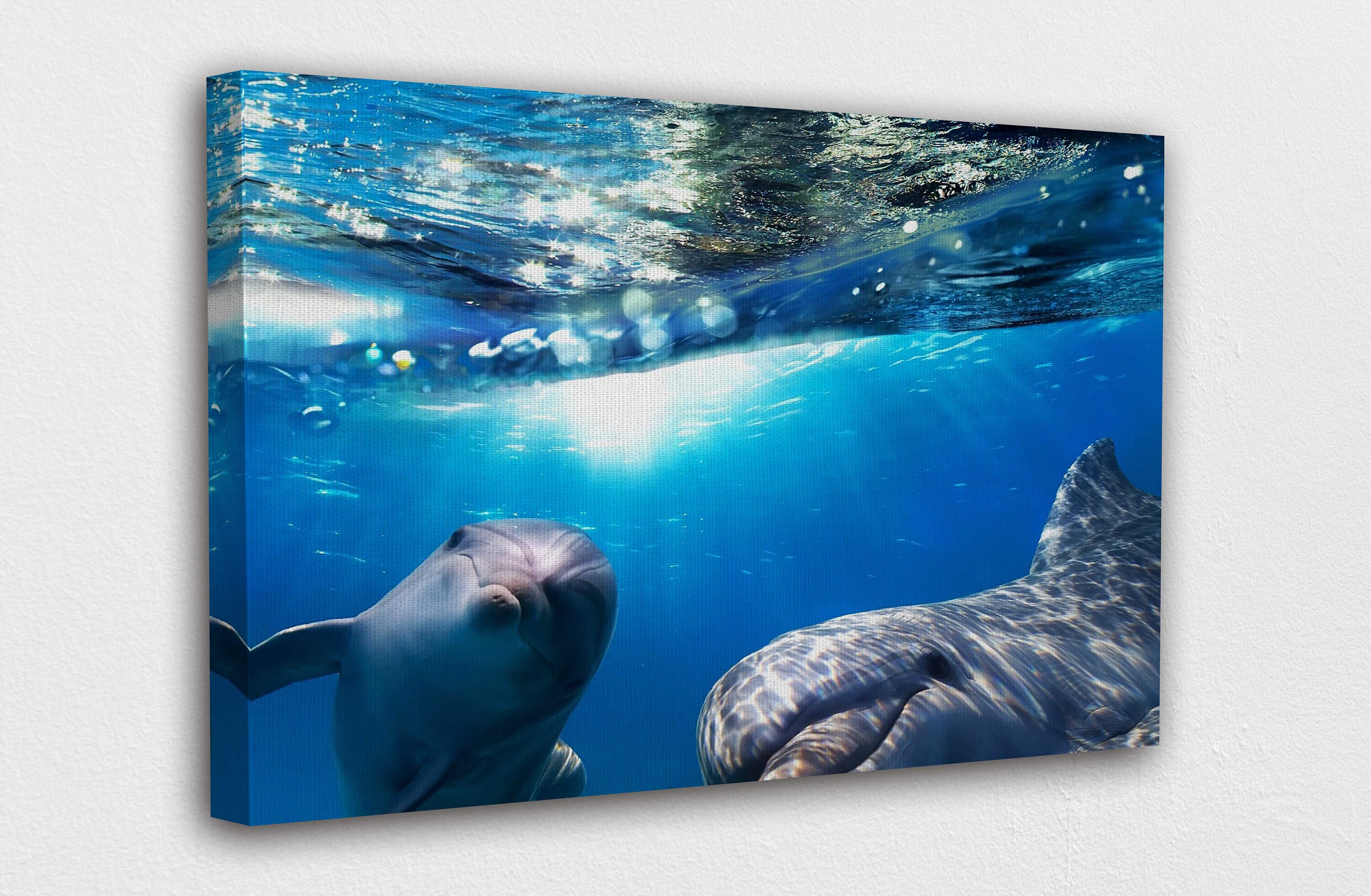 Sea Dolphin Underwater Canvas Wall Art Design Poster Print Etsy