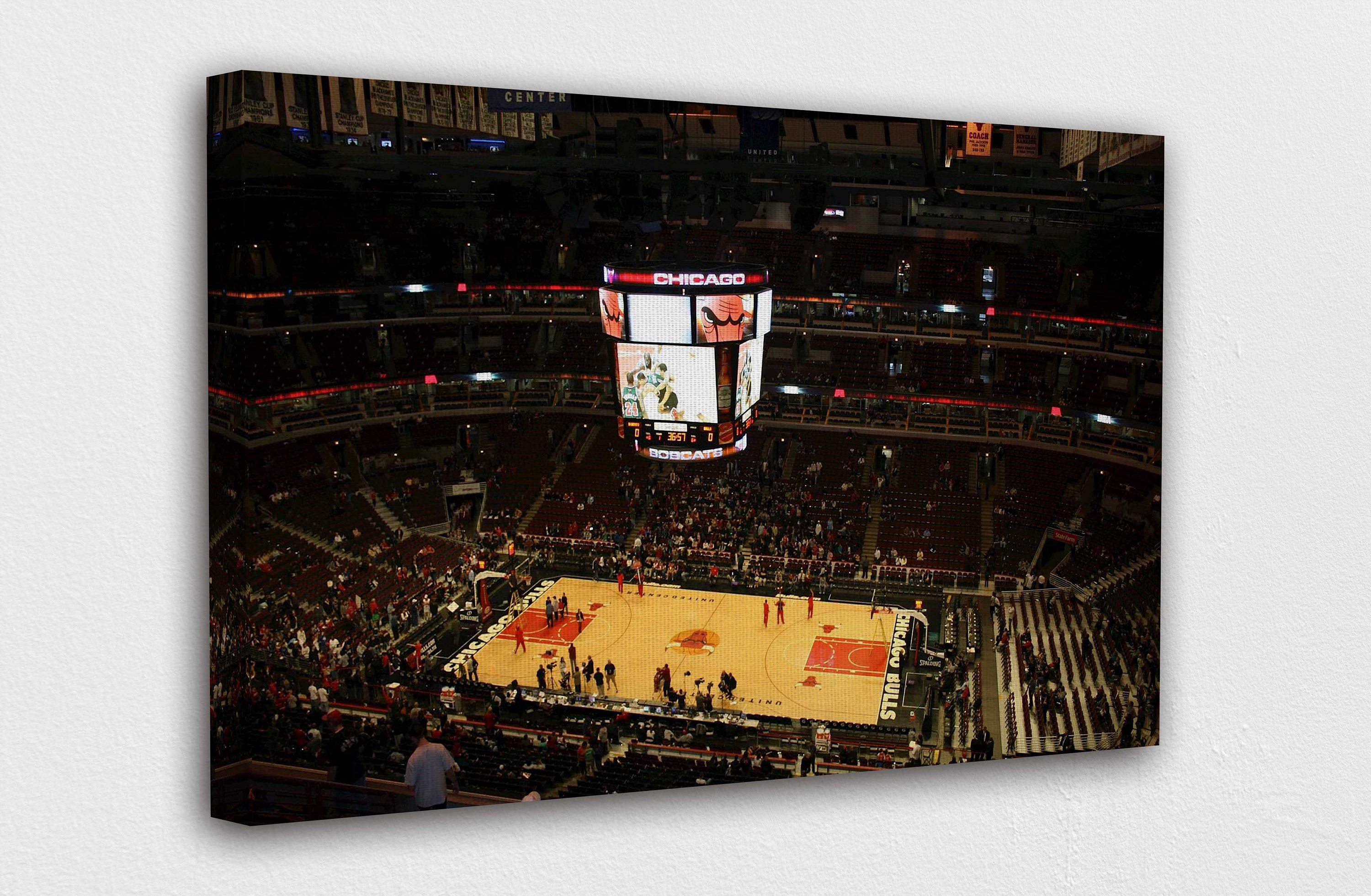 Chicago Bulls Stadium 20 x 20 Canvas Art