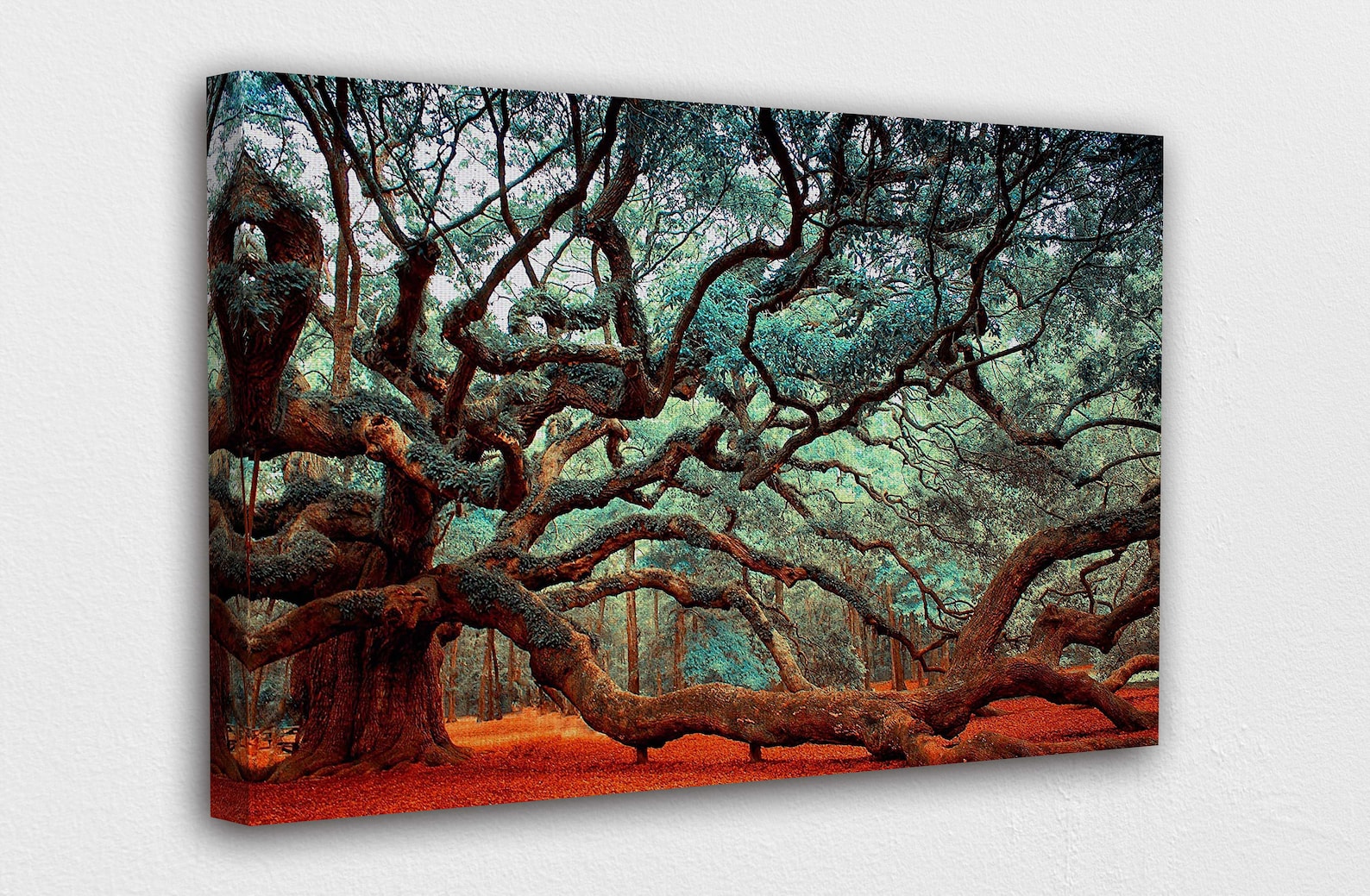 Giant Tree Canopy Canvas Wall Art Design Poster Print Decor Etsy