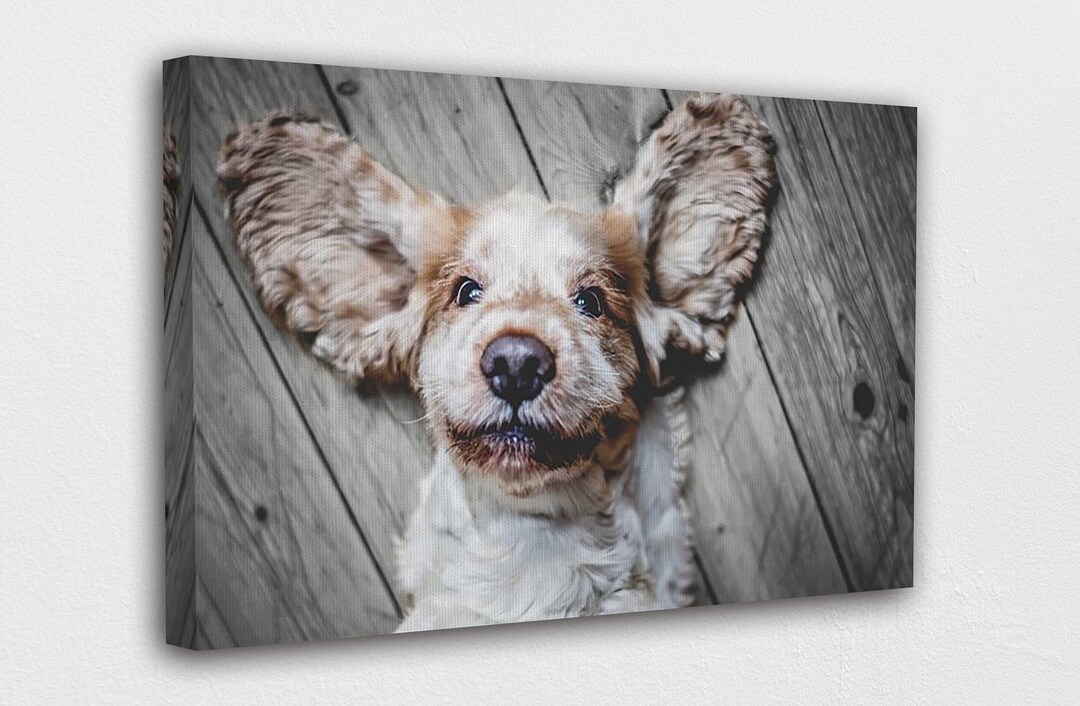 Funny Dog Canvas Wall Art Design Poster Print Decor for Home & Office