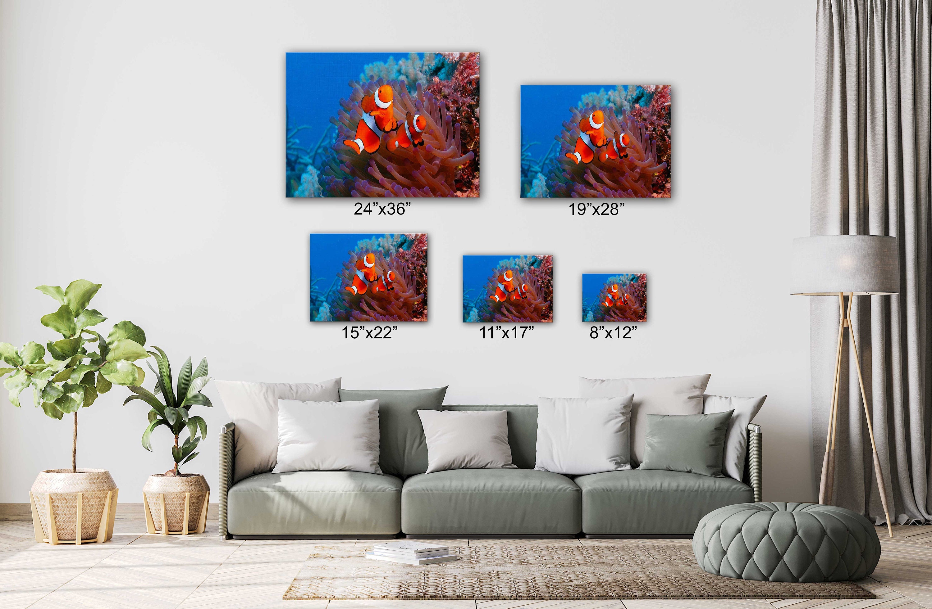 Clown Fish W Corals Undersea Canvas Wall Art Design Poster - Etsy