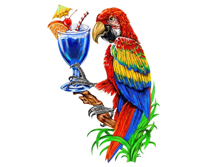 5 o'clock somewhere decal, Drinking parrot decal, Tropical parrot decal, margarita drink parrot, full color parrot decal, 5 o'clock parrot