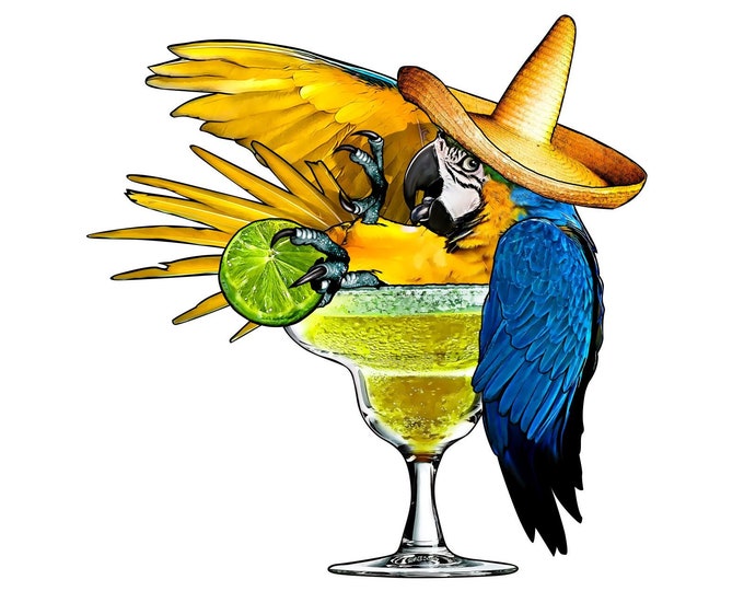 5 o'clock somewhere decal, Drinking parrot decal, Tropical parrot decal, margarita drink parrot, full color parrot decal, 5 o'clock parrot