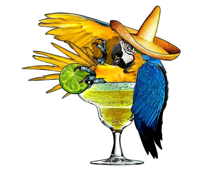 5 o'clock somewhere decal, Drinking parrot decal, Tropical parrot decal, margarita drink parrot, full color parrot decal, 5 o'clock parrot