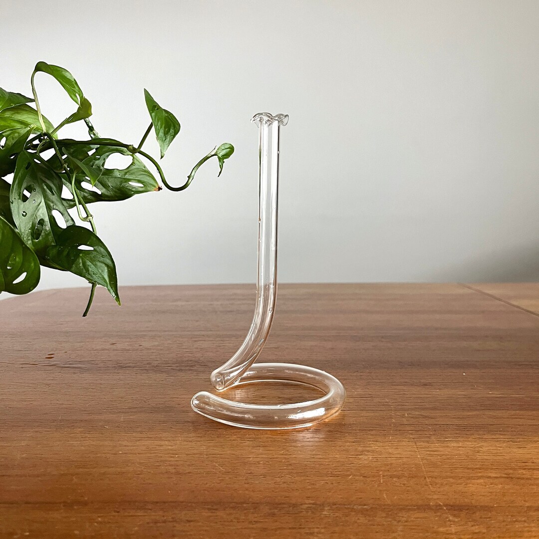 Vintage Glass Test Tube Bud Vase, Propagate Propagation Station, Small