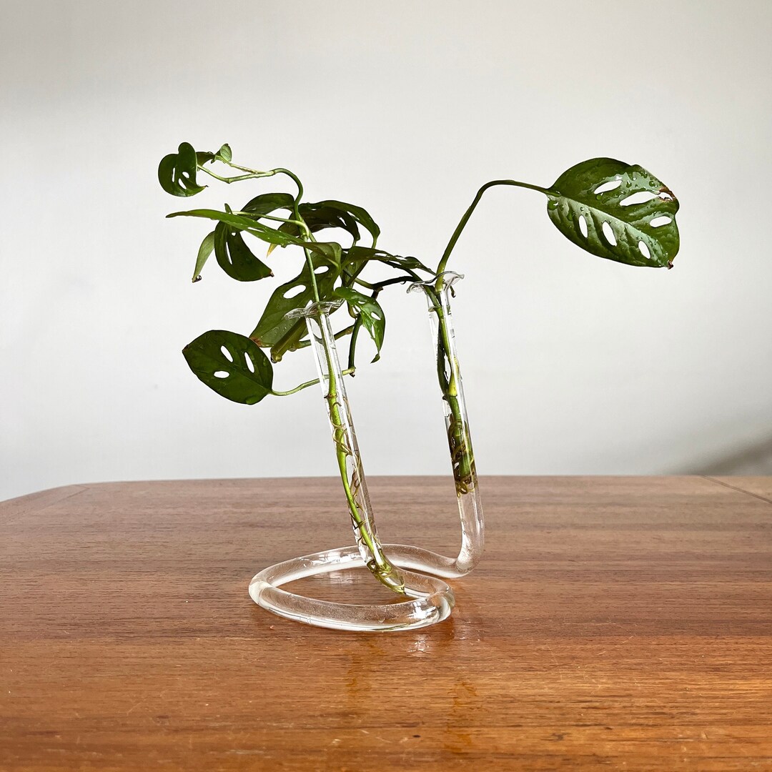 Vintage Glass Test Tube Bud Vase, Propagate Propagation Station, Small