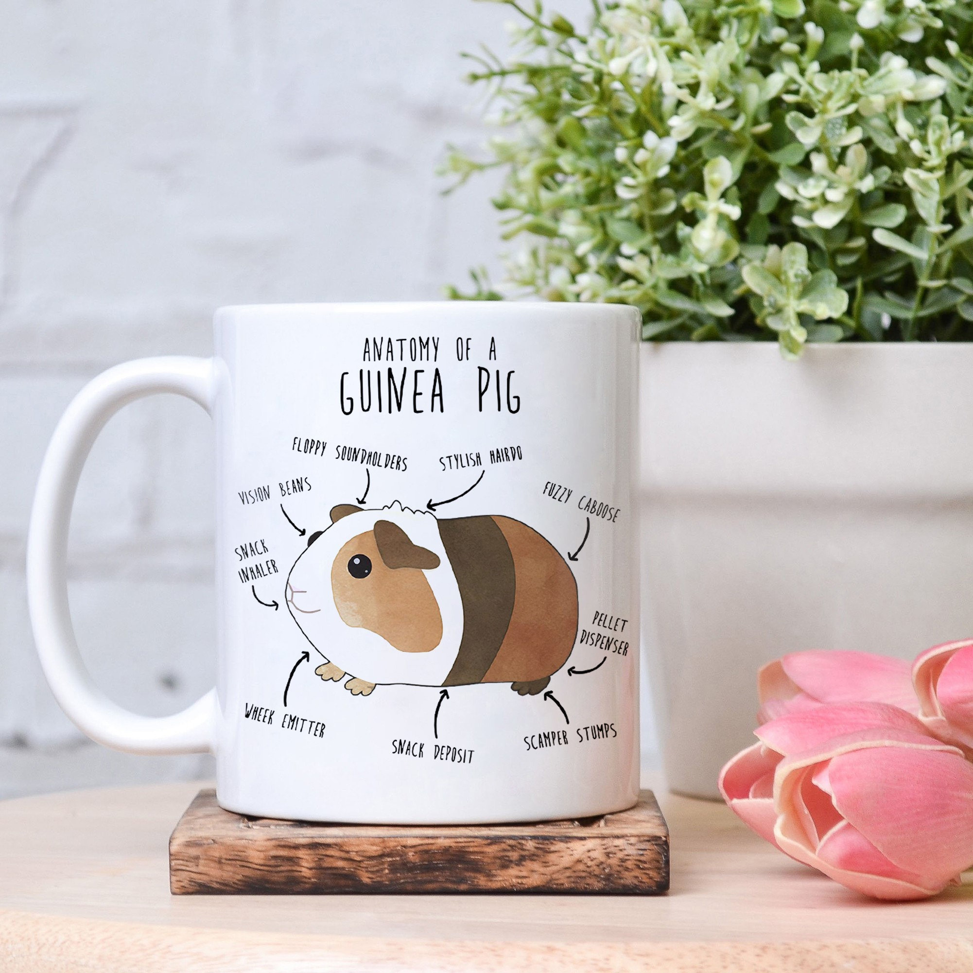 Funny Guinea Pig Lover Mug Funny Guinea Pig Gifts Guinea Pig Etsy