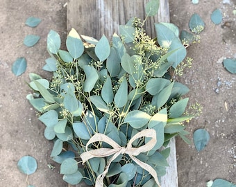Fresh Seeded Eucalyptus Silver Dollar For Shower and Home Decor DIY wedding Bunch or Bundle summer, spring, Mothers day, Graduation.