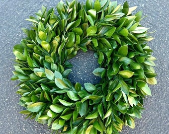 Fresh Real Ruscus Wreath for Front Door Decor. Saint Patricks day kitchen decor green gift housewarming rustic farmhouse, summer, spring.