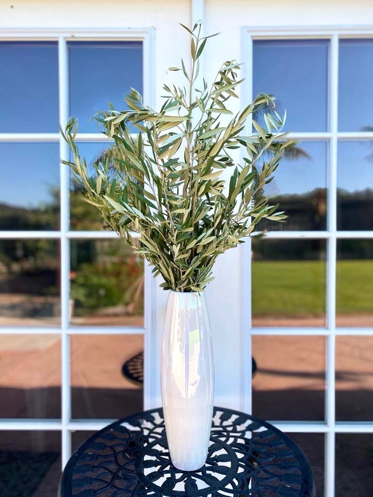 Fresh olive branches perfect for home decor olive tree bundle Etsy