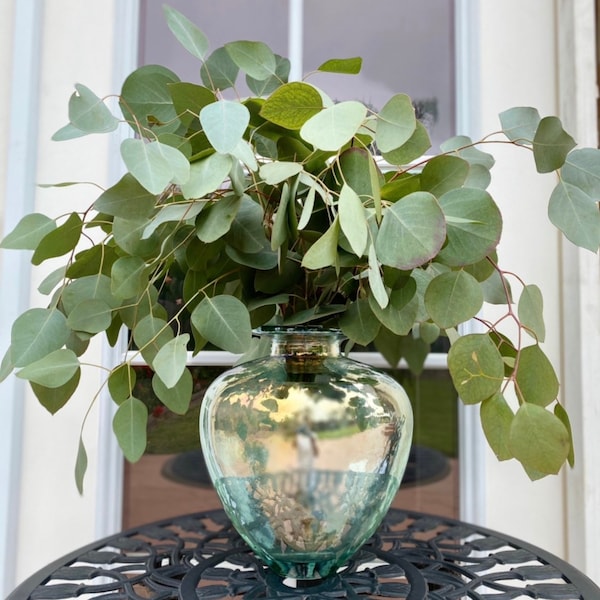 Eucalyptus Bunches Etsy