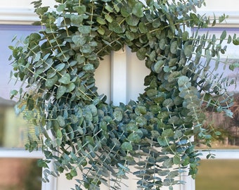 Può includere: Una ghirlanda di eucalipto fresco con foglie rotonde verde argentato. La ghirlanda è esposta su una porta bianca, creando un'estetica naturale e invitante. Perfetta per aggiungere un tocco di verde.