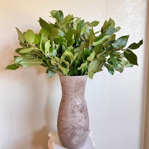 FRESH Salal Shallon Leaves  — Greenery Foliage | Flowers | Bunch | Wedding | Home Decor | Bride | Party Decorations | Boho Decoration