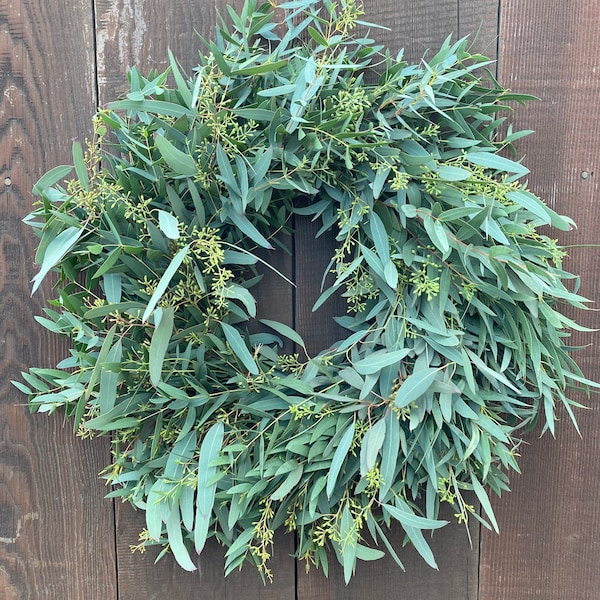 Corona de eucalipto fresco con semillas y eucalipto parvifolia: decoración para puerta de entrada, boda, regalo, obsequio personal, primavera y Pascua.