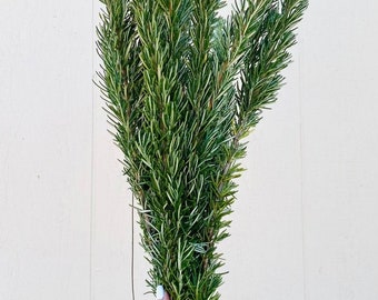FRESH Rosemary — Greenery Bunch | Home Bundle Decor | DIY Wedding | Aromatic | Herb | Aromatic | Shampoo | Cook | Summer