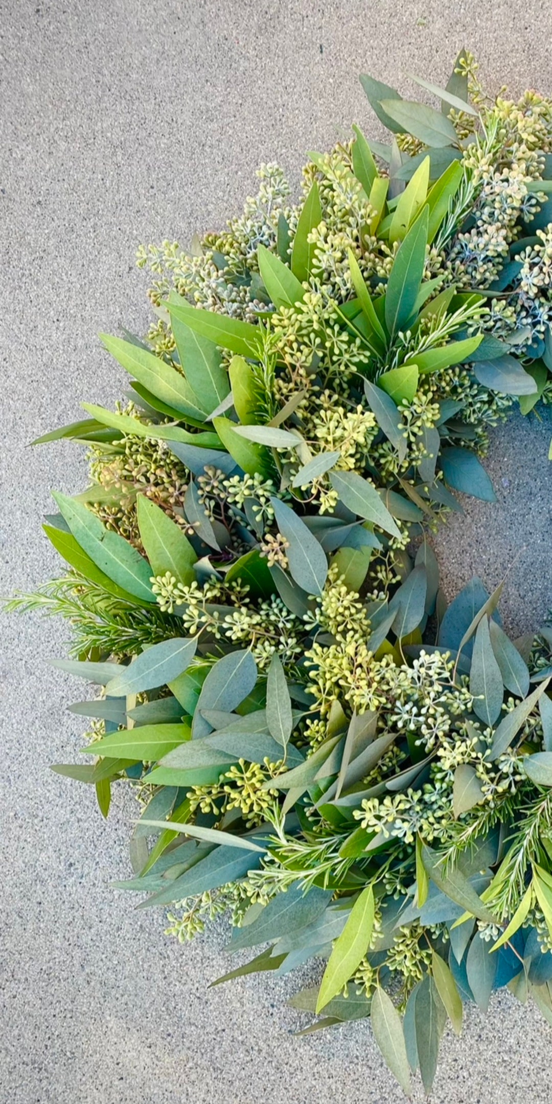 FRESH Eucalyptus Seeded Bay Leaf Rosemary Wreath Full of Aroma Front