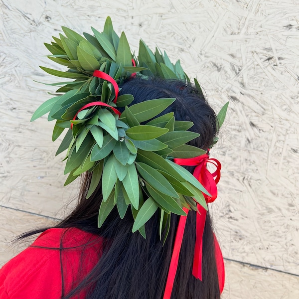 REAL Fresh Laurel Bayleaf Crown Greek Foliage Graduation red ribbon headpiece Italian Corona di Alloro College University Gift, Graduation.