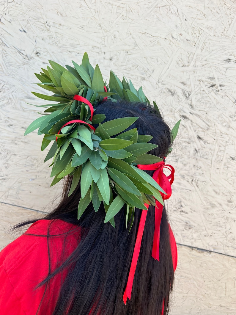 REAL Fresh Laurel Bayleaf Crown Greek Foliage Graduation red ribbon headpiece Italian Corona di Alloro College University Gift, Graduation. image 1