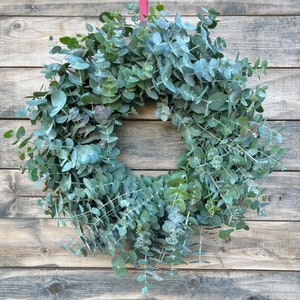 FRESH Real Fresh True Blue Cineraria Eucalyptus — Big and Full For Front Door Decor | Wedding | Home Decor | Aromatic | Wedding centerpiece