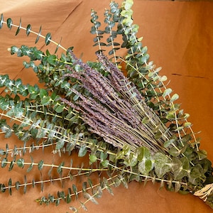 FRESH Fragrant Eucalyptus Dried Lavender Bundle — Shower Aroma Therapy Natural Decongestant | Wedding Greenery | Fall Decor | Birthday gift