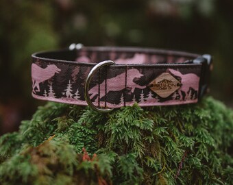 Jack's Pack Dog Collar