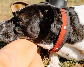 Scarlet Woodlands Dog Collar