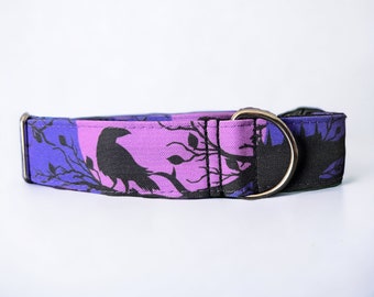 Violet Raven Dog Collar