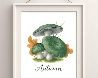 Autumn Mushroom Poster – Green Russula Illustration | Square 1x1 | JPG | Fall Botanical Wall Art