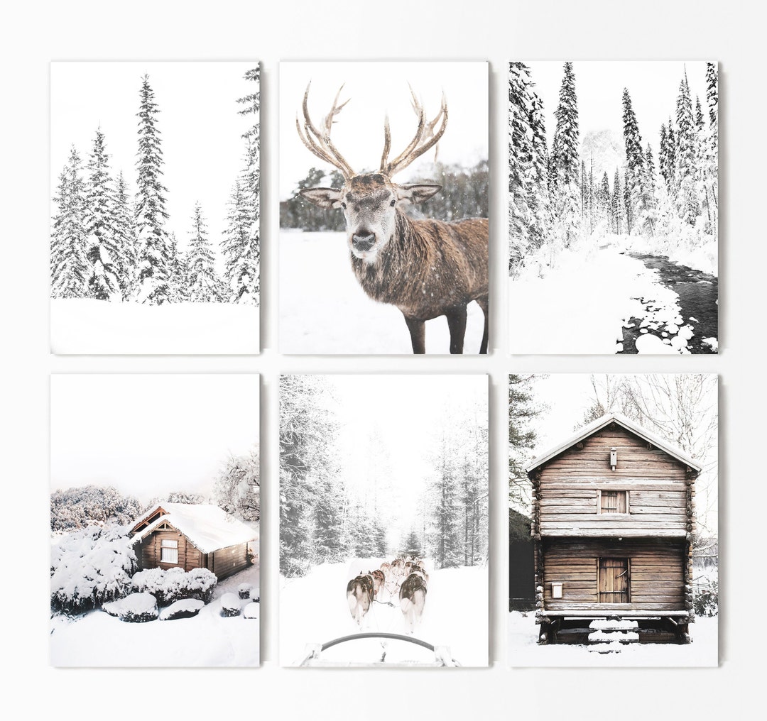 Winter Theme Decor Deer Print Canvas Winter Set of 6 Snow - Etsy