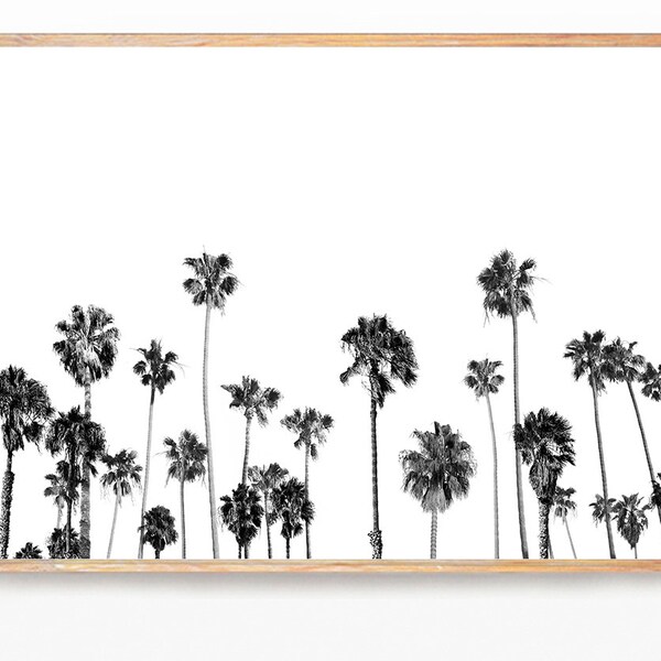 Black and White Palm Trees Wall Art Etsy